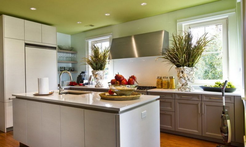 Матова натяжна стеля оливкового відтінку в кухні гармонійно поєднується з природними кольорами інтер’єру. Світлі меблі, дерев’яна підлога та великі вікна наповнюють простір затишком, а декоративні рослини додають свіжості й екологічного стилю.